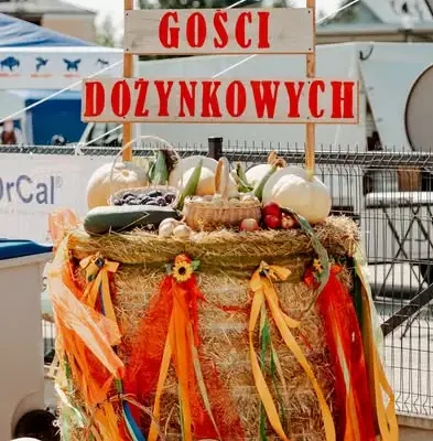 Dożynki Gminne w Tuczępach: Święto Plonów, Tradycja i Wspólnota